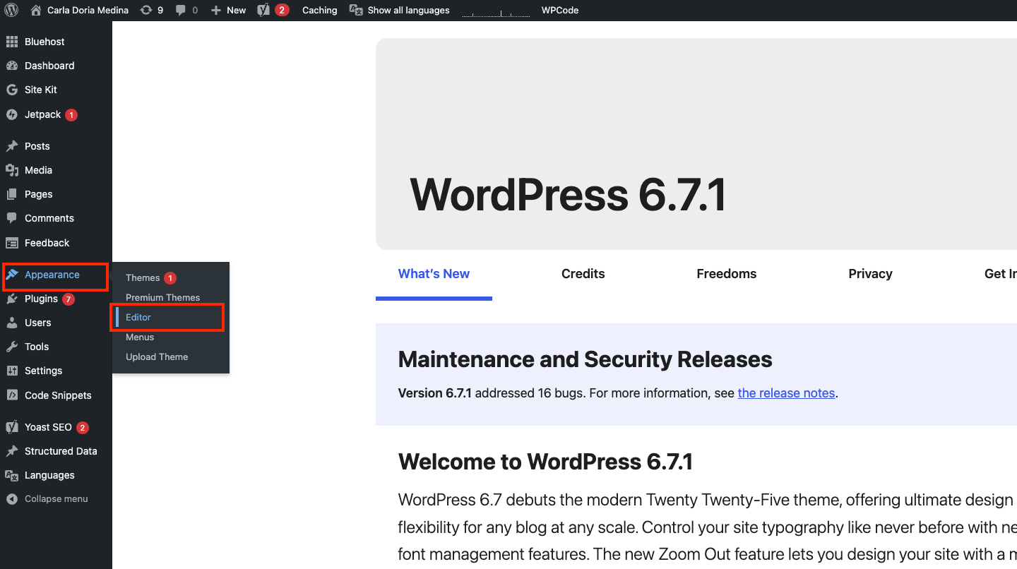 Selecting a Theme in WordPress